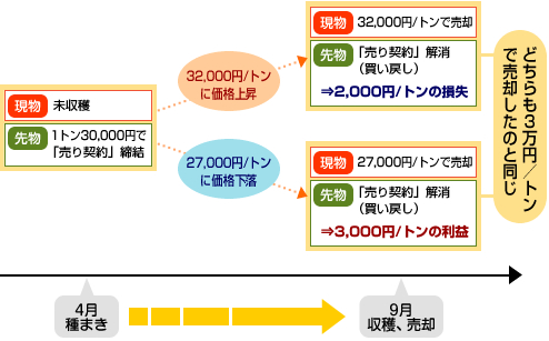 図説